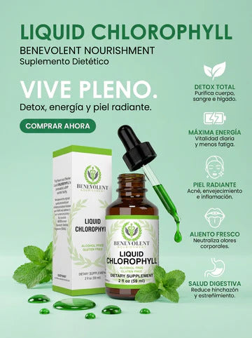 Liquid Chlorophyll Clorofila Líquida Concentrada con Menta 60 ml